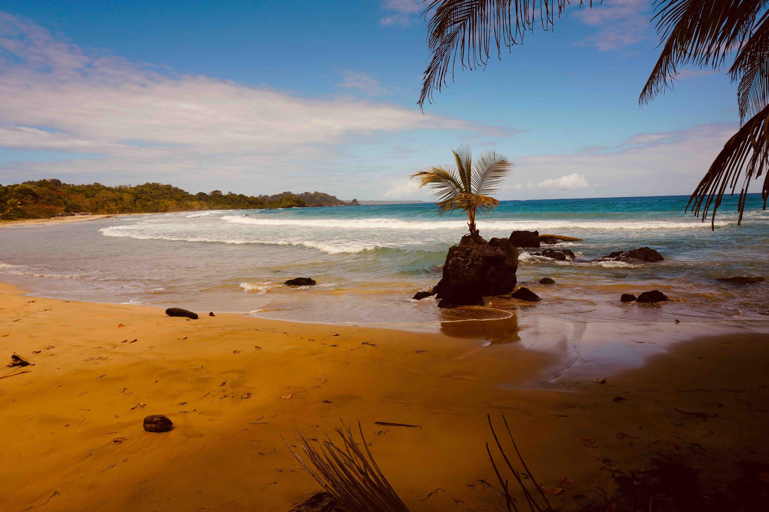 Bastimentos Island homes for sale