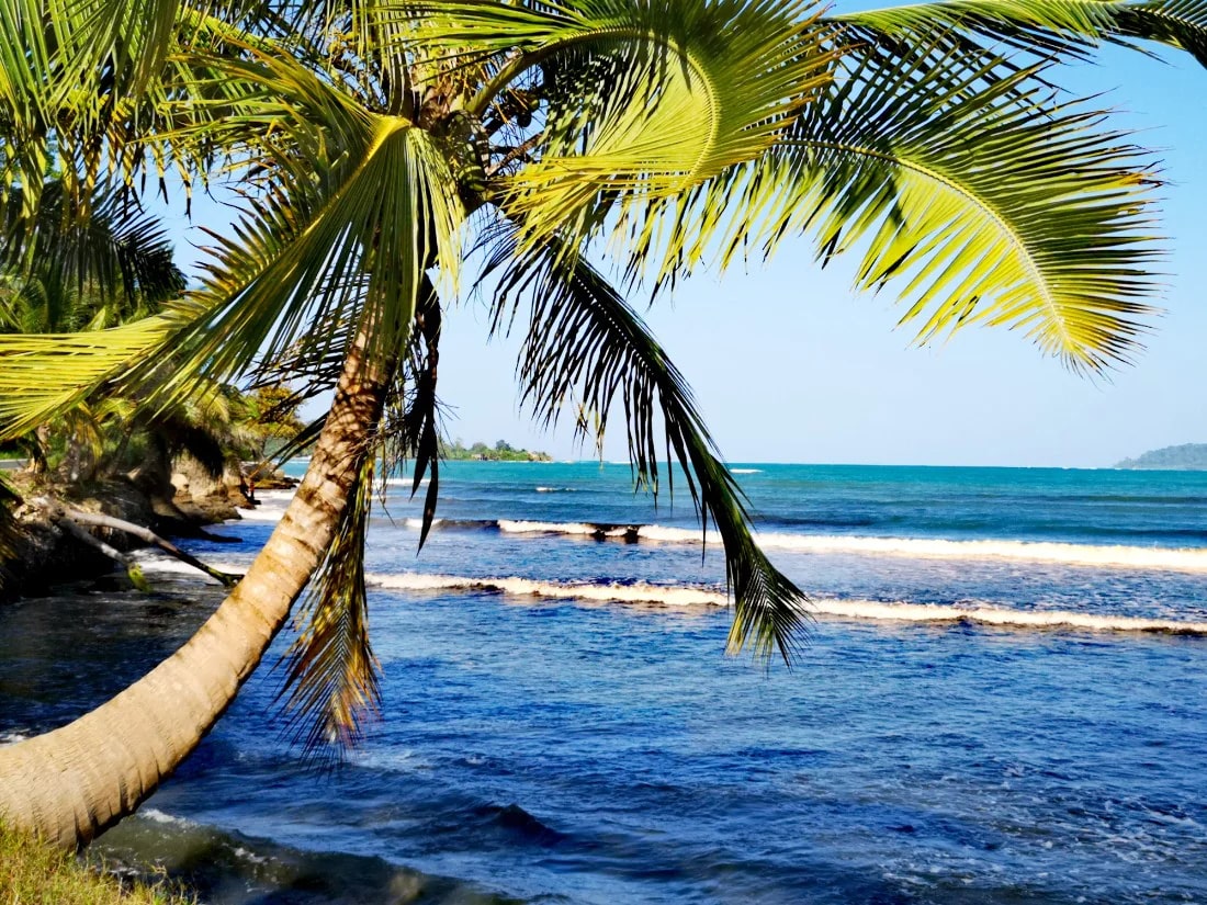 Bocas-beautiful