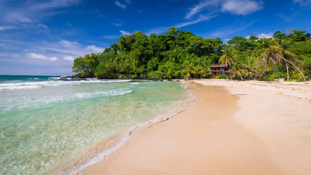 Red-frog-beach